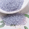 MIYUKI Delica Beads SEED-J020-DB0241-1
