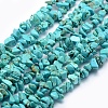 Synthetic Turquoise Beads Strands G-P332-24B-1