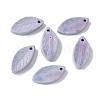 Natural Rainbow Alashan Agate Pendants G-G194-03-2