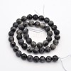 Faceted Round Natural Larvikite Beads Strands G-E302-083-8mm-2