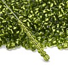 6/0 Round Silver Lined Round Hole Glass Seed Beads X-SEED-A005-4mm-24-4