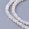 Shell Beads Strands SSHEL-E571-39-4mm-1