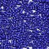 FGB 11/0 Grade A Glass Seed Beads X-SEED-S030-1024-2