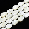 Natural Trochid Shell/Trochus Shell Beads Strands SSHEL-N034-135B-01-1