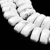 Natural Howlite Beads Strands G-Q167-B02-01-4