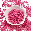 Baking Paint Glass Seed Beads X1-SEED-A032-02M-2