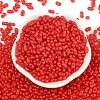 Baking Paint Glass Seed Beads SEED-L011-09A-14-2