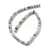 Natural Larimar Beads Strands G-Q024-B03-04-3