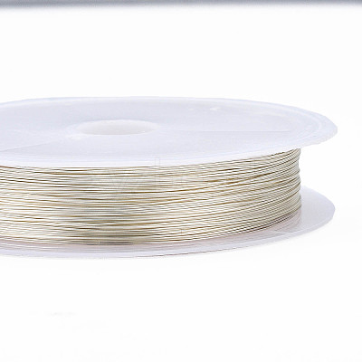 Round Copper Jewelry Wire X-CWIR-Q006-0.3mm-S-1