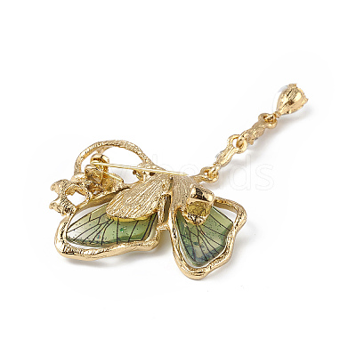 Resin Butterfly Brooch Pin with Crystal Rhinestone JEWB-P016-05KCG-03-1