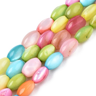Freshwater Shell Beads Strands SHEL-T009-B15-06-1