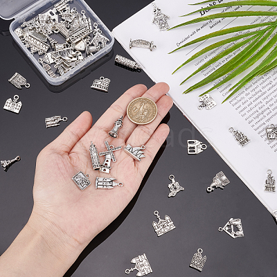 60pcs 30 Style Zinc Alloy Pendants Set PALLOY-PH0002-06-1