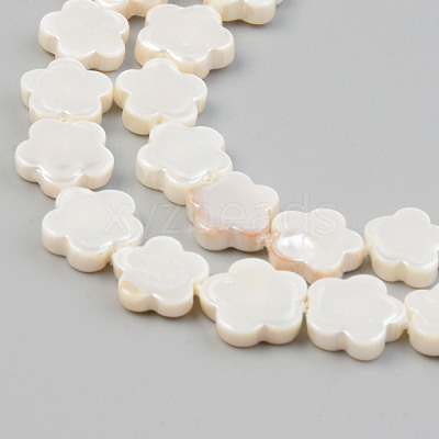 Electroplate Natural Freshwater Shell Beads Strands X-SHEL-T017-08-1