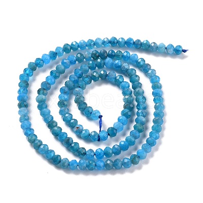 Natural Apatite Beads Strands G-K312-20B-1