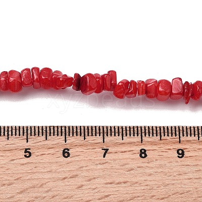 Natural Freshwater Shell Beads SHEL-B003-01C-1