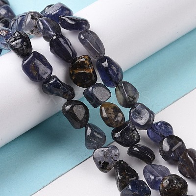 Natural Iolite Beads Strands G-A208-09-1
