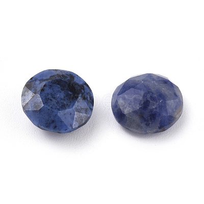 Natural Sodalite Cabochons G-G835-A01-05-1