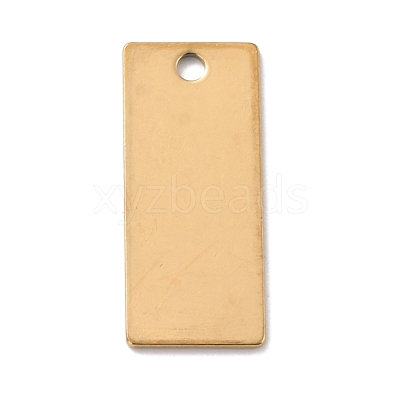 Ion Plating(IP) 201 Stainless Steel Pendant STAS-Z038-01G-B-1