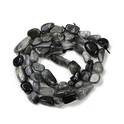 Natural Eagle Eye Stone Beads Strands G-Q060-D06-1