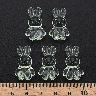 Transparent Acrylic Beads MACR-S373-81-B02-1