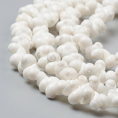 Natural Spiral Shell Beads Strands X-BSHE-I011-11C-1