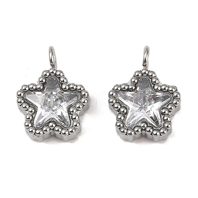 304 Stainless Steel Micro Pave Cubic Zirconia Charms LS-STAS-K302-01A-P-1