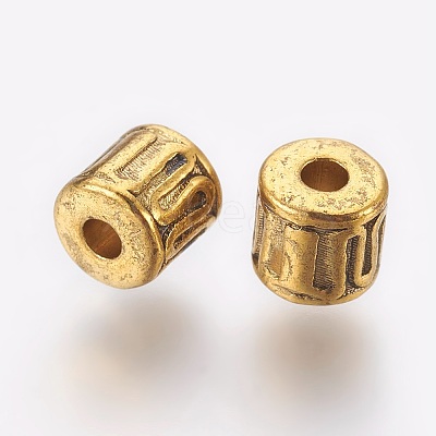 Tibetan Style Alloy Beads LS-GLF0030Y-NF-1