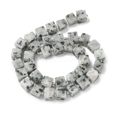 Natural Sesame Jasper Beads Strands G-D338-A20-1