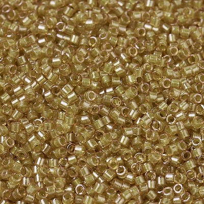 MIYUKI Delica Beads X-SEED-J020-DB0911-1