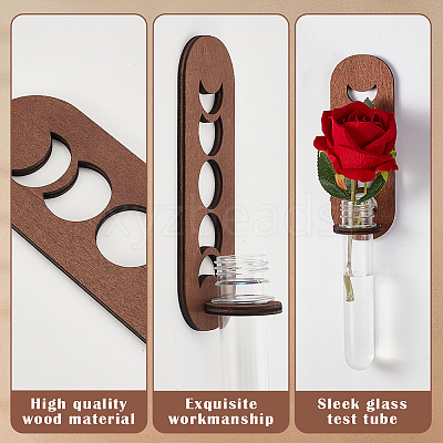 2 Sets 2 Styles Wall Hanging Terrarium Planter with Plastic Tube ODIS-GA0001-53B-1