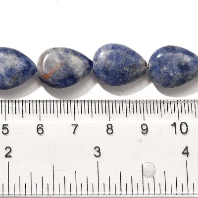 Natural Blue Spot Jasper Beads Strands G-P561-B06-01-1