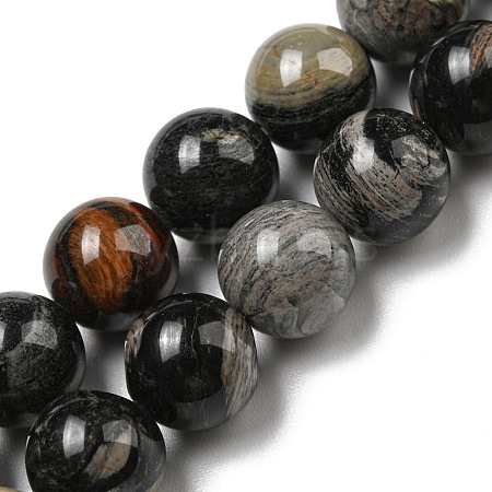 Natural Black Silver Leaf Jasper Beads Strands G-R494-A17-04-1