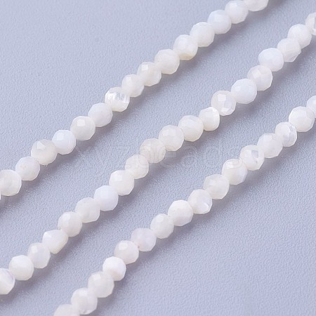 Shell Beads Strands G-F619-27-2mm-1