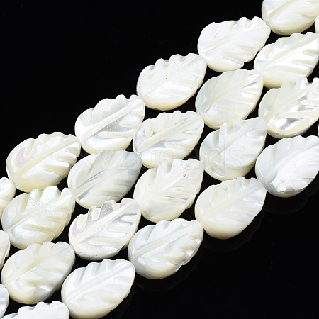 Natural Trochid Shell/Trochus Shell Beads Strands SSHEL-N034-135B-01-1