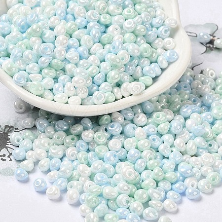 6/0 Glass Seed Beads SEED-M012-01A-12-1