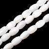 Natural Freshwater Shell Beads Strands SHEL-K006-06-1