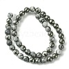 Natural Gemstone Beads Strands G-D067-I03-C01-3