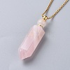 Natural Gemstone Perfume Bottle Pendant Necklaces NJEW-F251-09-5