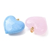 Handmade Lampwork Pendants LAMP-G160-01-2