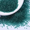 MIYUKI Delica Beads SEED-X0054-DB1108-1