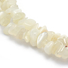 Natural White Moonstone Beads Strands G-P332-01-3