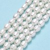 Natural Cultured Freshwater Pearl Beads Strands PEAR-J006-17E-01-2