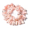 Dyed Natural Trochus Shell Beads Strands SSHEL-C013-09L-2