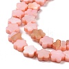 Natural Freshwater Shell Beads Strands SHEL-H002-03D-4