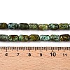 Natural African Turquoise(Jasper) Beads Strands G-G980-33B-5