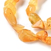 Natural Amber Beads Strands G-P497-01C-04-4