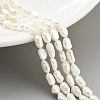 Natural Keshi Pearl Cultured Freshwater Pearl Beads Strands PEAR-P062-33-2
