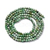 Natural Variscite Beads Strands G-G188-B05-03-3