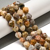 Natural Crazy Agate Beads Strands G-K382-A18-03-2