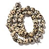 Natural Dalmatian Jasper Beads Strands G-R190-10mm-63-3